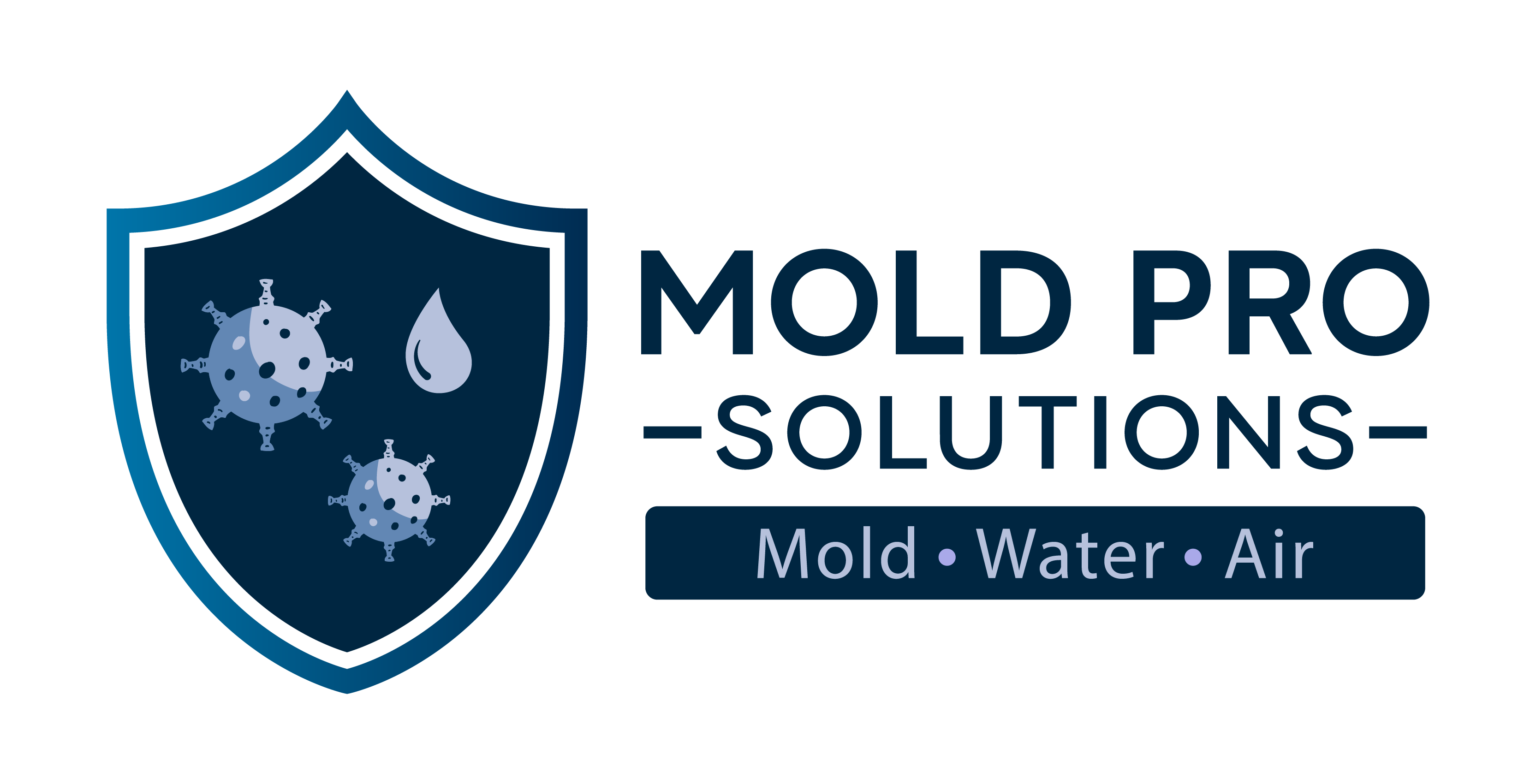 Mold Pro Solutions